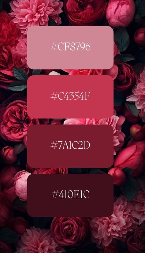 Color Board Ideas, Dark Floral Color Palette, Burgundy And Pink Palette, Red Color Schemes Colour Palettes, Wine Color Aesthetic, Bordo Color Palette, Scarlet Color Palette, Berry Color Palette Wedding, Raspberry Colour Palette