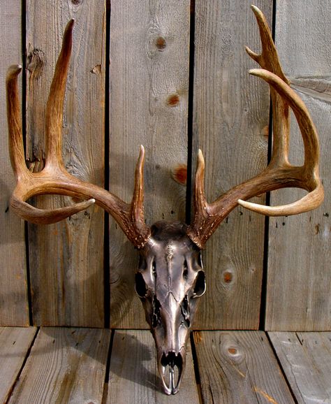 Deer Horns Decor, Buck Mounts, Deer Mount Ideas, Antler Projects, Antler Ideas, Horns Decor, European Mount, Tattoo Animal, Antler Crafts