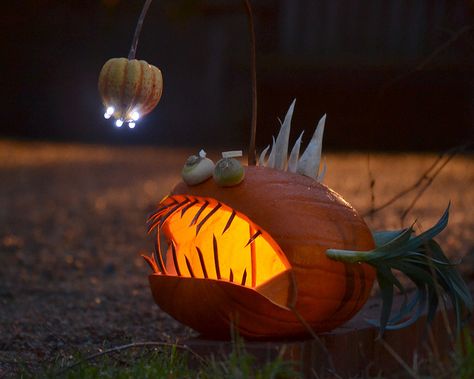 Anglerfish pumpkin Angler Fish Pumpkin, Pumpkin Octopus, Pufferfish Pumpkin, Angler Fish Pumpkin Carving, Aquarium Pumpkin, Octopus Pumpkin, Angler Fish Costume, Underwater Pumpkin Carving Ideas, Fish Pumpkin