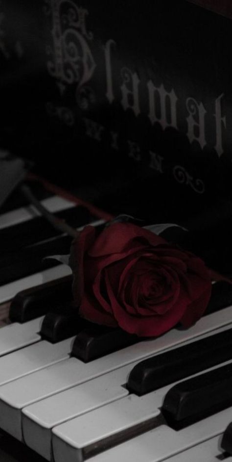 Dark Red Roses, Dark Red Wallpaper, Rosé Aesthetic, Nothing But Flowers, Beautiful Dark Art, Cool Wallpapers Art, Fantasy Aesthetic, Rose Wallpaper, Music Wallpaper