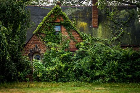 Since demolished Woodland Cottage, Abandoned House, Colossal Art, Architecture Model Making, Photo P, Nature Collection, Forest House, Abandoned Buildings, Abandoned Houses