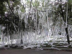 rolling a house up with toilet paper | Something wicKED this way comes....: It's wicKED Wednesday. Time for ... Yard Pranks, House Pranks, Funny Pranks For Kids, Funny April Fools Pranks, Funniest Pranks, School Pranks, Pranks For Kids, Kids Toilet, Senior Pranks