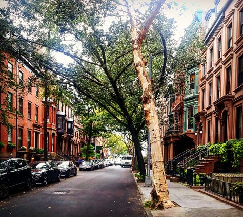 Heights Aesthetic, Modern Log Cabins, Vibey Room, Nyc Neighborhoods, Victorian Modern, Brooklyn Brownstone, Cat Plants, Brooklyn Heights, Nyc Life