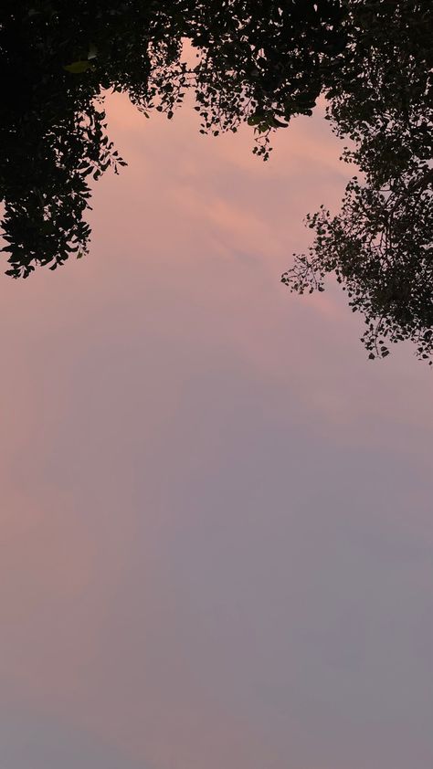 Evening sky | pink hour | trees Pink Hour, Sky Pink, Evening Sky, Sky Aesthetic, Trees, Pink, Quick Saves