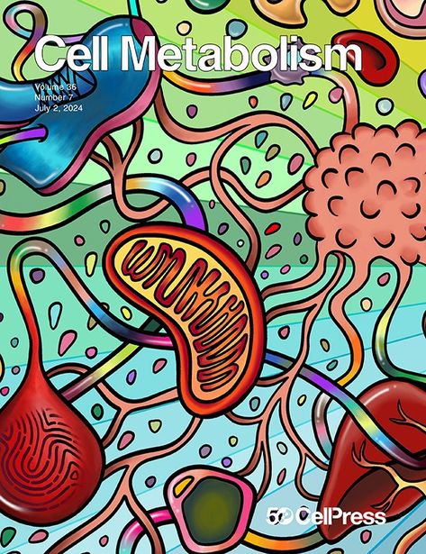 The Small Intestine Converts Dietary Fructose into Glucose and Organic Acids: Cell Metabolism Cell Metabolism, Cell Membrane Transport, Phospholipids Structure, Facial Images, Fructose Malabsorption, Langerhans Cell Histiocytosis, Electron Transport Chain, Mitochondrial Dna, Cognitive Science