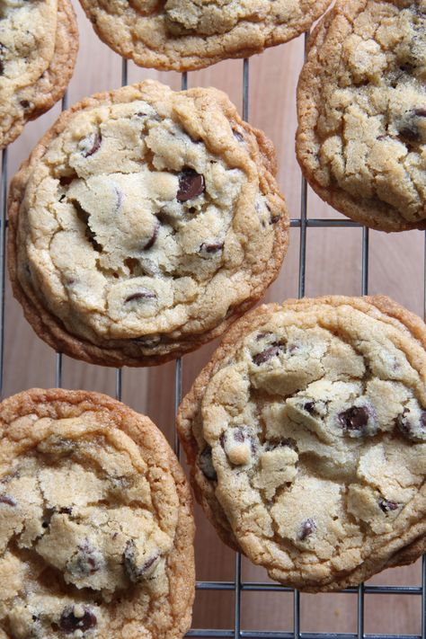 The Best Cookies Ever, Best Chocolate Chip Cookies Ever, Baking Chocolate Chip Cookies, The Best Chocolate Chip Cookies, Dessert Cookies, Best Chocolate Chip Cookies Recipe, Best Chocolate Chip Cookies, Homemade Chocolate Chips, Homemade Chocolate Chip Cookies