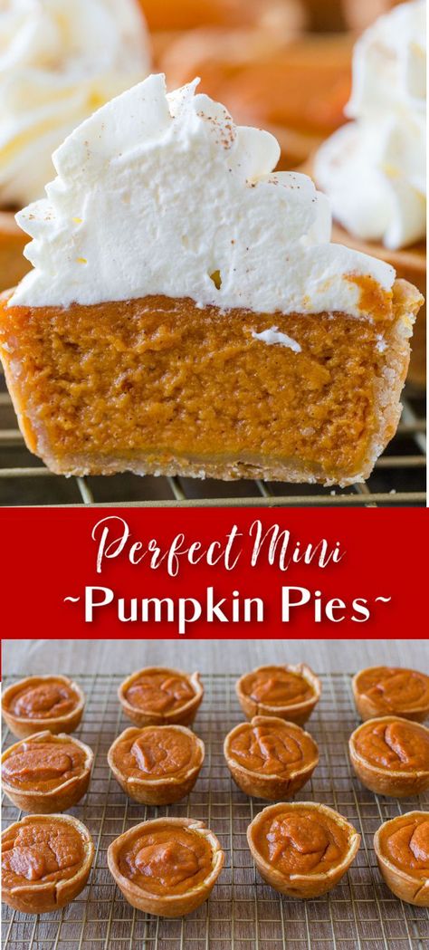 Mini Pumpkin Pies are easier than pie and they are the ultimate Fall treat. You’ll love the buttery crust and creamy pumpkin center topped with whipped cream. These Individual Pumpkin Pies are everything you love about Classic Pumpkin Pie, but they are easier to make. Individual Pumpkin Pie Recipe, Individual Pie Recipes, Mini Pumpkin Pie Cheesecake, Pumpkin Pie Crust Recipe, Pumpkin Tarts Recipe, Individual Pumpkin Pie, Mini Pumpkin Pies Recipe, Pumpkin Pie Crust, Pumpkin Tarts