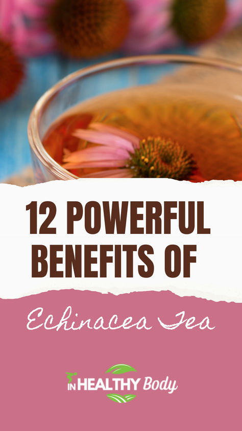 Echinacea tea with echinacea pink flowers. Benefits Of Echinacea, Echinacea Tea Recipes, Essiac Tea Benefits, Echinacea Tea Benefits, Tea With Honey, Echinacea Benefits, Herb Life, Common Diseases, Echinacea Tea