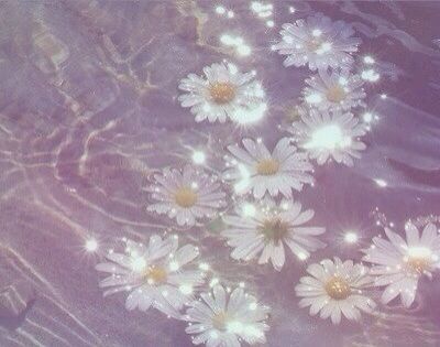 Daisies in water Body Of Water, Floating In Water, Photo Wall Collage, Picture Collage, Purple Aesthetic, Nature Aesthetic, Pastel Aesthetic, Aesthetic Backgrounds, Aesthetic Iphone Wallpaper