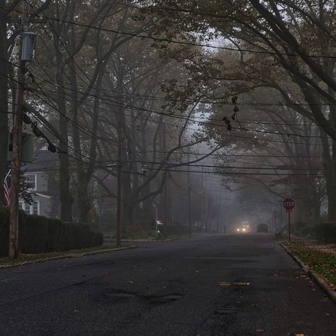 Lower Middle Class Aesthetic, Foggy Weather, Rhapsody In Blue, Can You Feel It, Dark Autumn, Dark Nature Aesthetic, Gloomy Day, Mystic Falls, Best Seasons