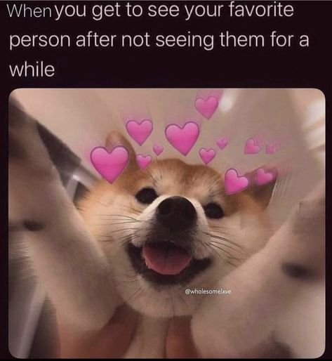 These funny and wholesome love memes are perfect to send to your partner. Nothing says 'I love you' like funny memes. #funny #memes #love #lovememes Missing You Memes, Send To Your Partner, Wholesome Love, Funny Bf, Bf Memes, Love You Funny, Gf Memes, Love You Meme, Love You Cute