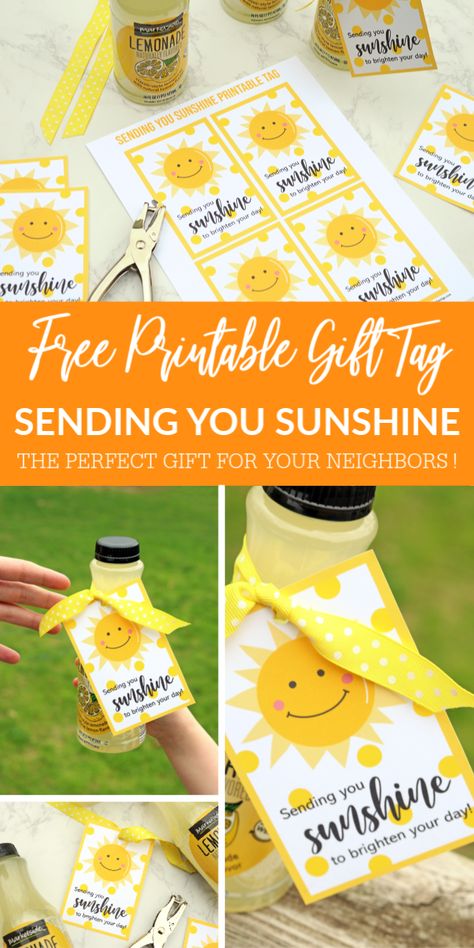 Brighten Your Day Gift Basket, Staff Sunshine Ideas, Sunshine Teacher Gift, Sunshine Teacher Appreciation, Sunshine Box Ideas, Sunshine Committee Ideas, Brighten Your Day Gift, Sunshine Package, Basket Of Sunshine