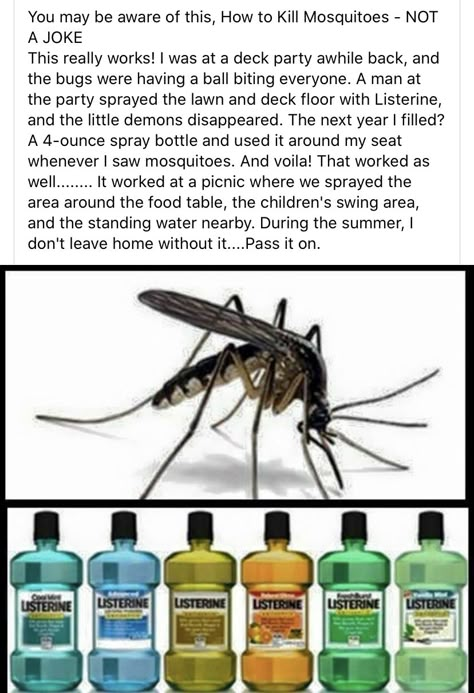 Mosquito Yard Spray, Repellent Diy, Diy Bug Repellent, Mosquito Repellent Homemade, Diy Mosquito Repellent, Bug Spray Recipe, Mosquito Spray, Natural Bug Repellent, Kill Mosquitos