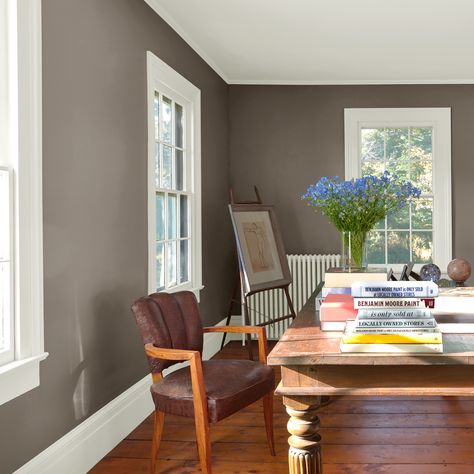 Eagle Rock Benjamin Moore, High Lrv Paint Colors Benjamin Moore, Benjamin Moore Eagle Rock, Benjamin Moore Fossil Paint Color, Benjamin Moore Flint Af-560, Home Office Paint Colors, Gray Home Office, Home Office Paint, Benjamin Moore Silhouette Af-655