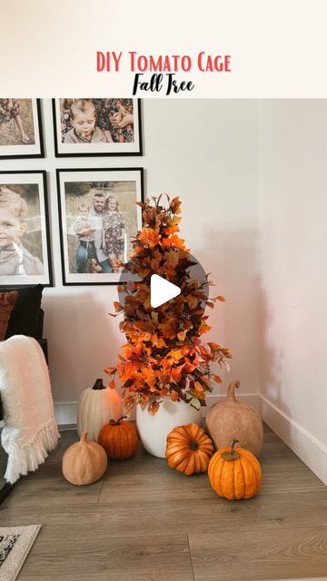 Cherish Larsen - Seasonal/Holiday Favorites! | DIY Tomato Cage Fall Tree 🍁🧡

I am so in love with the way this turned out! These are great indoor and outdoor. Plus you can order a bunch... | Instagram Tomatoe Cage Craft Ideas, Tomato Cage Fall Tree, Fall Tree Ideas, Diy Fall Tree, Cherish Larsen, Diy Tomato Cage, Fall Stems, Fall Stem, Inside Decor