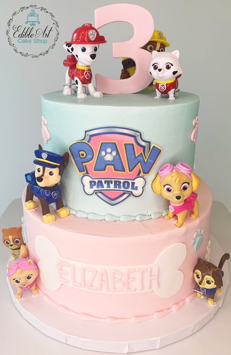 Paw Patrol Chase Cake, 3rd Birthday Themes, Paw Patrol 4th Birthday, Paw Patrol 3rd Birthday, Pastel Paw Patrol, Skye Paw Patrol Cake, Cake Paw Patrol, Paw Patrol Birthday Party Cake, Paw Patrol 3rd