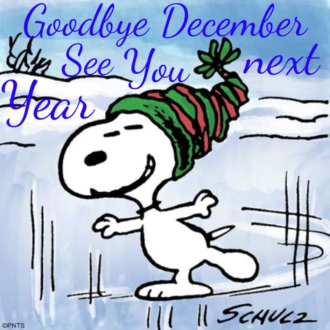 Goodbye December  You can find more pictures like this at my picture web page at ...www.snowflakescottage.com Good Bye December, December Snoopy, Goodbye December, November Welcome, Peanuts Snoopy Quotes, Hello December Quotes, Hello January Quotes, December Quotes, Hello January