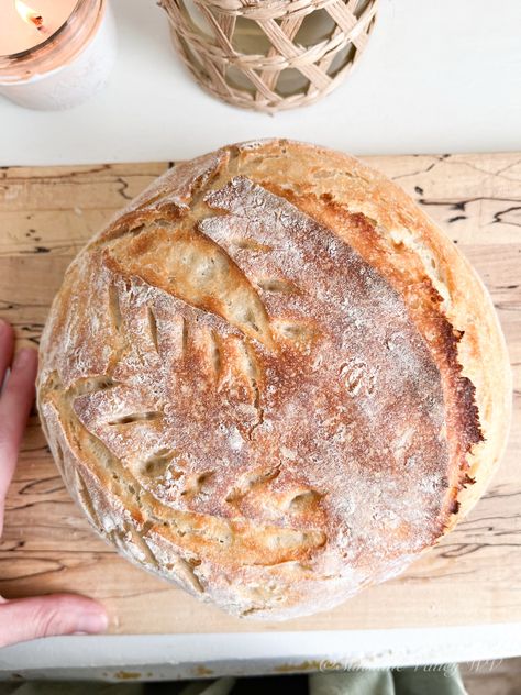 No Knead Sourdough Bread No Knead Sourdough Bread Dutch Ovens, No Knead Sourdough Bread Recipe, Sourdough Bread No Knead, Sourdough Bread Quick Rise, No Knead Bread Bowl Recipe, San Francisco Sourdough Bread Recipe, Honey Wheat Sourdough Bread, No Need Bread, No Knead Sourdough Bread