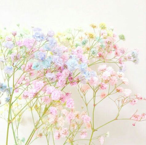 cute2 Pastel Rainbow Aesthetic, Blue Aesthetic Pastel, Rainbow Aesthetic, Spring Pastels, Pastel Pink Aesthetic, Flower Therapy, Floral Poster, Spring Aesthetic, Pastel Flowers