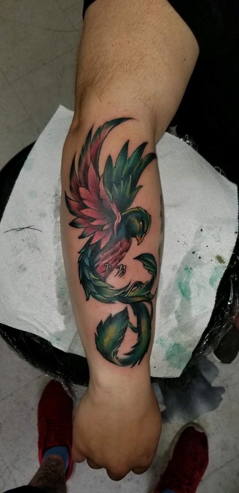 #Guatemala #Mayan #Quetzal #Guatemalan Quetzal Tattoo Guatemalan, Guatemalan Tattoo Ideas, Guatemala Tattoo, Quetzal Tattoo, Design Quotes Art, Mayan Tattoos, Aztec Tattoo Designs, Container Cafe, Forarm Tattoos