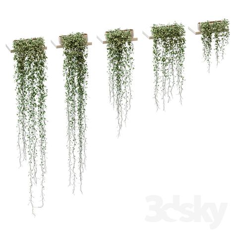 3d models: Indoor - Plants on the shelves. 5 models Plants For Shelves, Modern Pot, Bottom Shelf, Hanging Plants, In 3d, Indoor Plants, Gazebo, Balcony, Pergola