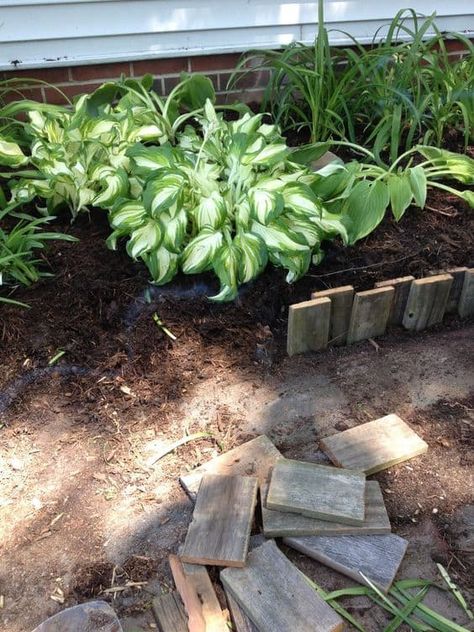 Cheap Garden Beds, Garden Border Ideas, Flower Bed Borders, Garden Edging Ideas, Flower Bed Edging, Border Ideas, Garden Border, Edging Ideas, Landscape Edging