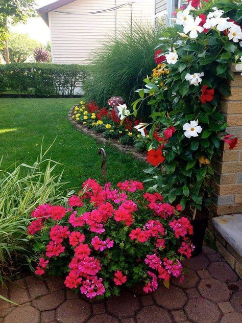 Front Porch Garden, Large Backyard Landscaping, Large Backyard, Porch Garden, Front Yard Landscaping Design, Front Yard Landscaping, Backyard Landscaping, Trees To Plant, Diy Garden