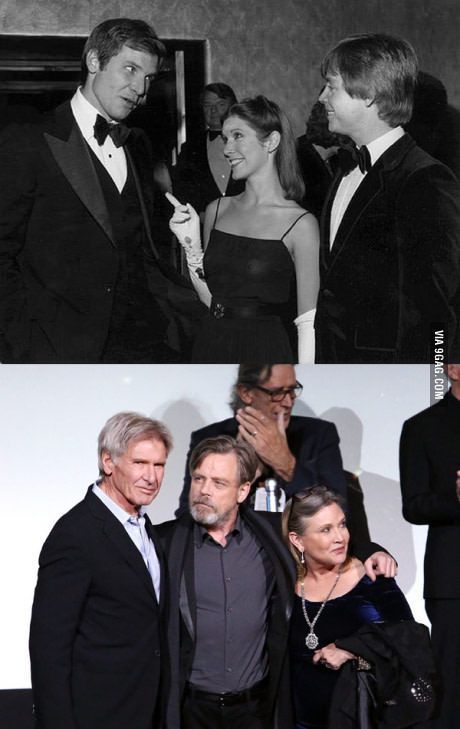 Star Wars premieres, then and now. Harrison Ford, Mark Hamill, and Carrie Fisher Star Wars Meme, Star Wars Cast, Mia Farrow, Star Wars Droids, Freddy Mercury, Star Wars Film, Katharine Hepburn, Lauren Bacall, Mark Hamill