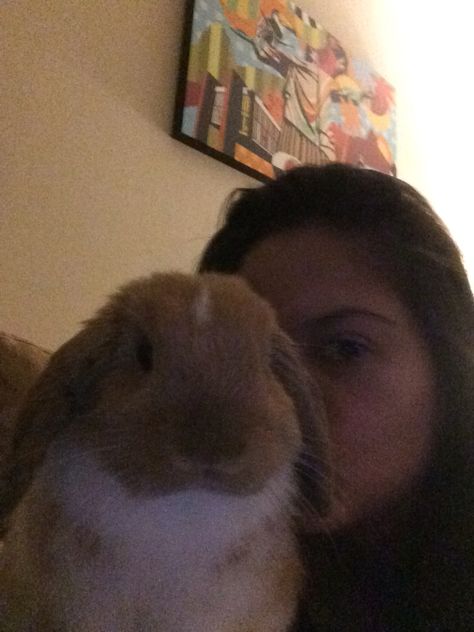 Bunny Titan Selfie!!!! Bunny Selfie, Mini Lop, Bunny Rabbit, Rabbits, Selfies, Animals, Quick Saves