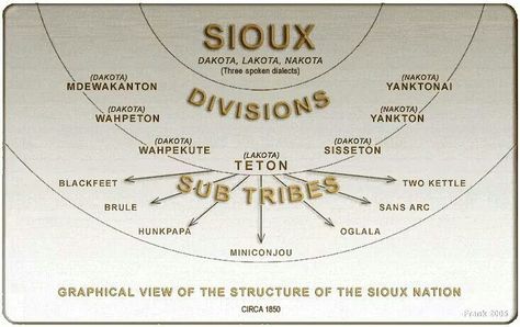 Sioux Nation, Divisions,  Sub tribes- circa 1850 Lakota Indians, Sioux Nation, Oglala Lakota, Sioux Indian, Lakota Sioux, American Indian History, Native American Images, Native American Pictures, Native Pride