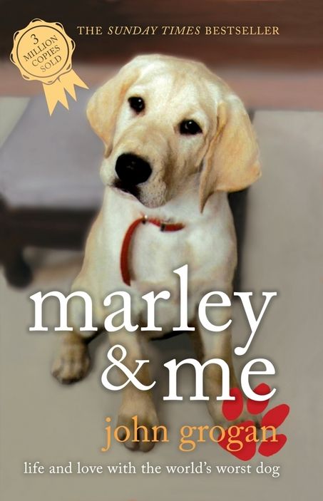 marley and me book | ... reporter played by Jennifer Aniston in movie Marley & Me | MLive.com Moving Books, Marley And Me, Owen Wilson, Dog Books, Dog Stories, Womens Fiction, I John, Book Addict, Jennifer Aniston