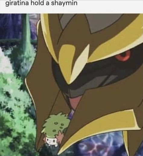 Giratina Pokemon, Gently Holds, Hedge Hog, Cute Pokemon Pictures, Pokemon Pokedex, Pokemon Images, Pokemon Comics, Pokemon Memes, Pokémon Stuff