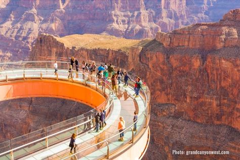 Grand Canyon Skywalk Grand Canyon Activities, Grand Canyon Skywalk, Grand Canyon West Rim, Grand Canyon Tours, Grand Canyon West, Grand Canyon South Rim, Trip To Grand Canyon, Italy Tours, Colorado River