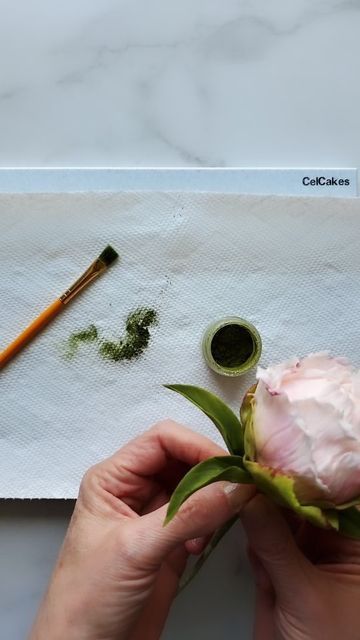 Jacqueline Butler on Instagram: "Two Color Peony Leaves Quick and easy way to get two shades of green in your leaves without having to use a lot of petal dust. Once used, squish the rolled out pieces together for an additional shade of green for other leaves. Paste colors are Moss Green and Lemon Yellow (lighter) and Moss Green with Juniper (darker). Petal dust color is Foliage by Crystal Colors. #sugarleaves #sugarflowers #petalsweetcakes #howtovideo #igreels #cakedecorating #edibleart #g Peony Leaves, Petal Dust, Flower Cakes, Crystal Colors, Fondant Tutorial, Cake Flowers, Edible Art, Sugar Flowers, Sweet Cakes