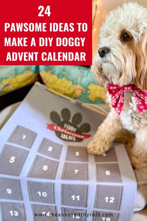 Advent Calendar For Pets, Dog Advent Calendar Ideas Diy, How To Make A Dog Advent Calendar, Advent Calendar For Dog, Diy Dog Treat Advent Calendar, Advent Calendar For Dogs Diy, Diy Pet Advent Calendar, Pet Calendar Ideas, Advent Calendar For Dogs