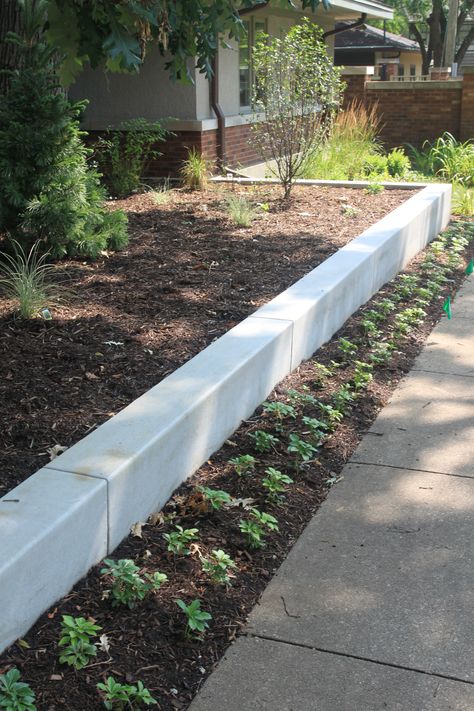 Finished Concrete - Retaining Wall Concrete Wall Backyard, Small Retaining Wall Ideas Front Yard, Low Concrete Wall Front Yard, Concrete Retaining Wall Landscape, Small Concrete Retaining Wall, Backyard Ideas Concrete, Cement Retaining Wall, Concrete Retaining Wall Ideas, Short Retaining Wall Ideas