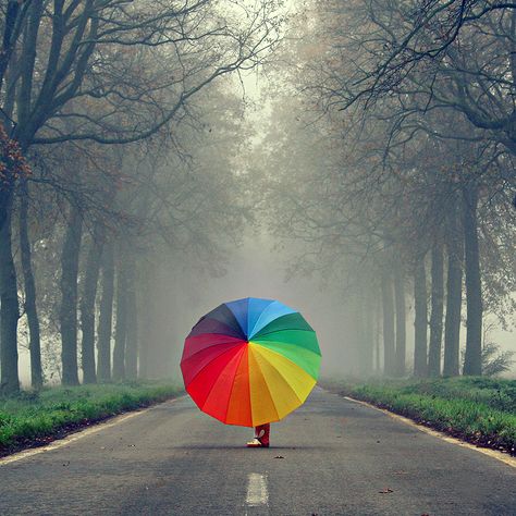 Holding An Umbrella, Rainbow Connection, Under My Umbrella, Rainbow Bright, Singing In The Rain, Taste The Rainbow, Love Rainbow, Over The Rainbow, Pics Art