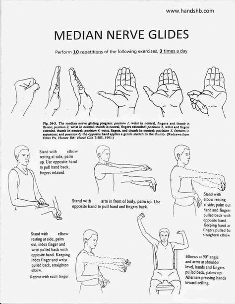 Nerve Glides, Hand Therapy Exercises, Ulnar Nerve, Median Nerve, Physical Therapist Assistant, Occupational Therapy Activities, Home Exercise Program, Physical Therapy Exercises, Medical Anatomy