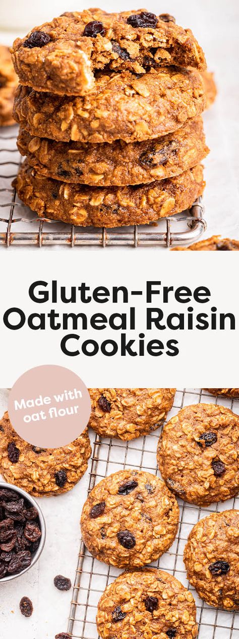 Oatmeal Raisin Cookies Healthy Peanut Butter Oatmeal Cookies, Vegan Oatmeal Chocolate Chip Cookies, Gluten Free Oatmeal Cookies, Chocolate Chip Oatmeal Cookies, Vegan Oatmeal, Gluten Free Oatmeal, Peanut Butter Oatmeal Cookies, Oatmeal Chocolate Chip, Peanut Butter Oatmeal