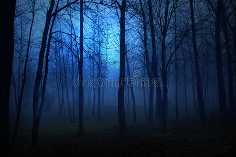 Church Backgrounds, Haunted History, Scenic Railroads, Night Background, Forest Background, Night Forest, Blue Forest, Love Wall Art, Forest Trees