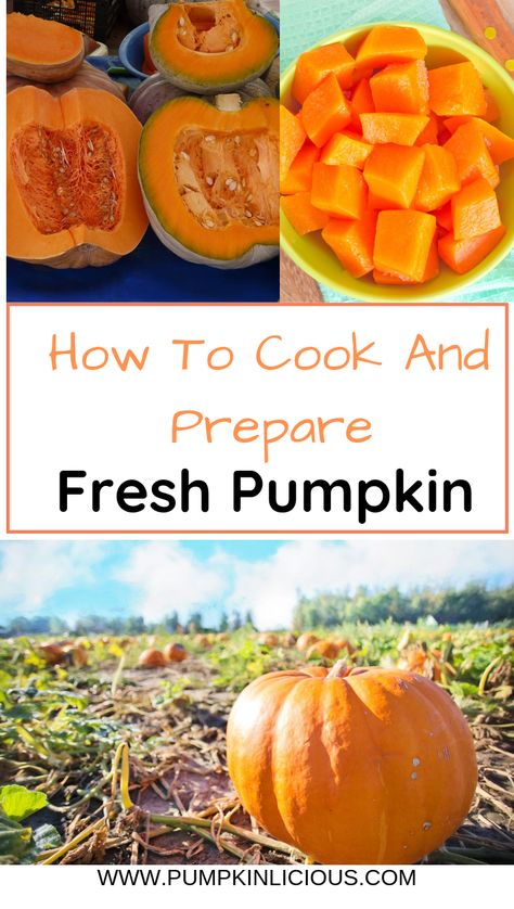 Find out how to cook and prepare fresh pumpkin! Bake it, steam it and even do it in the microwave! Pumpkin Bake, Fresh Pumpkin Recipes, Cook Pumpkin, Fresh Pumpkin Pie, Cooking Pumpkin, Fresh Pumpkin, Sugar Pumpkin, Pumpkin Recipes Dessert, Garden Recipes