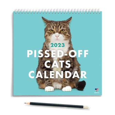 Funny 2023 Cat Calendar Shows 'Pissed Off' Felines All Year Long Funny Calendar, Funny Calendars, Hug Your Cat Day, Cat Calendar, Cat Coasters, Funny Wall Art, Angry Cat, Pet Day, Cat Cards