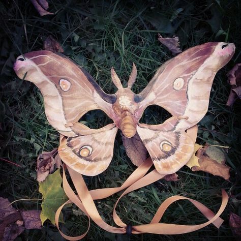 Leather Moth Mask by Alexis Burbank Victorian Masquerade Mask, Leather Masquerade Mask, Moth Masquerade Mask, Masquerade Mask Animal, Custom Mask Ideas, Animal Masks Masquerade, Painted Masquerade Mask, Masquerade Mask Ideas, Moth Mask