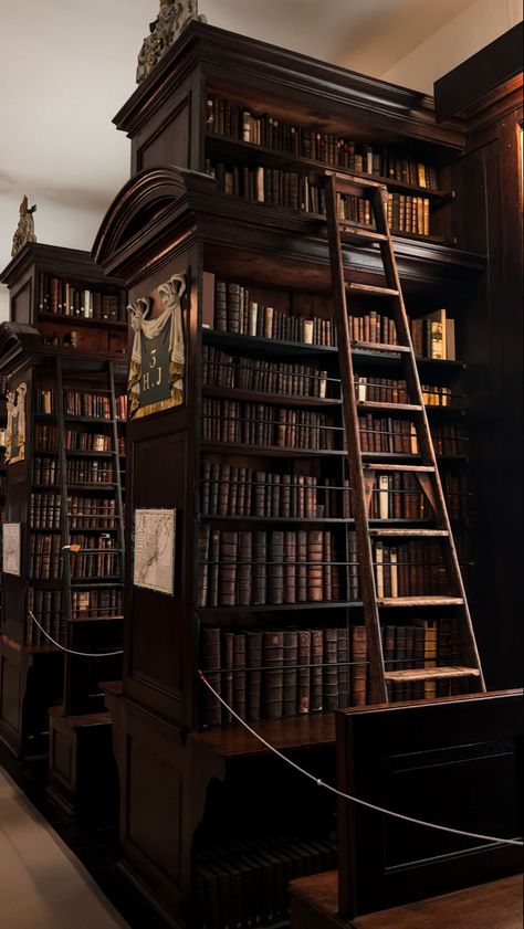 Slytherin Library Aesthetic, Big Library Aesthetic Castle, British Academia Aesthetic, Home Library Dark Academia, Fantasy Library Exterior, Harry Potter Library Aesthetic, Dark Academia Library Wallpaper, Dark Arcadia Aesthetic, Hogwarts Library Aesthetic