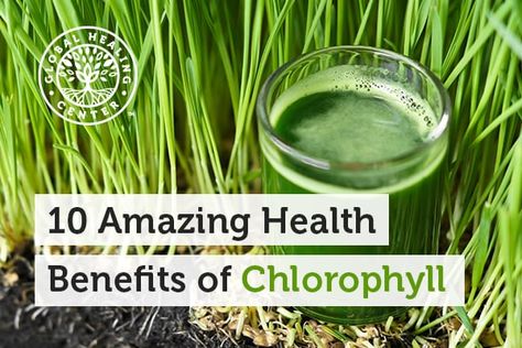 Chlorophyll Provides Many Health Benefits for the Human Body Chlorophyll Benefits, Juice For Skin, Reverse Gray Hair, Full Body Detox, Natural Gray Hair, Wheat Grass, Body Detox, Green Vegetables, Healthy Diet Plans