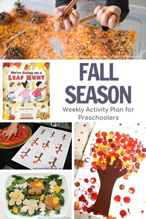 A week of simple and easy planned activities for preschoolers on the theme of fall featuring the book We're Going on a Leaf Hunt by Steve Metzger. Owls Preschool, Fall Activities For Preschoolers, Preschool Seasons, Fall Leaves Activities, Leaf Hunt, Fall Activities For Toddlers, Prek Activities, Fall Crafts For Toddlers, Fall Science