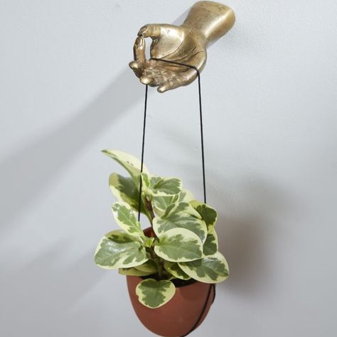 Help yourself to our whimsical Helping Hands Collection, featuring a wall hook for hanging plants, jewelry, or keys and bookends with a hand holding a glass mini vase for holding buds or plant propagations. . . . . . . . . . . . . #wallhooks #hangingplanters #hangingplants #propogation #bookends #homedecorideas #decorideas #budvase #whimsicaldecor Gold Planter, Plant Hooks, Tillandsia Air Plant, Mini Vase, Room With Plants, Plant Wall, Cast Aluminum, Boho Wall, Hanging Plants