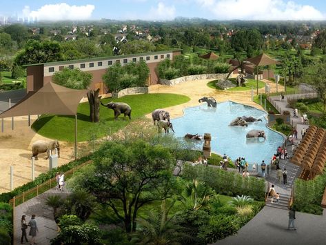 Stephanie Adams, Zoo Elephant, Elephant Habitat, Zoo Boo, Elephant Zoo, Animal Enclosures, Zoo Inspiration, Zoo Games, Male Elephant