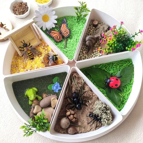 Laura | Inspire My Play ® on Instagram: “BUG HABITAT TRAY . Isn’t this the most inviting play tray from @minimundos_demimundo? There’s so much to explore and lots of different…” Sensory Play Tray, Inspire My Play Tray Ideas, Inspire My Play Tray, Inspire My Play, Spring Tuff Tray, Bug Habitat, Habitat Activities, Tuff Tray Ideas Toddlers, Memory Care Activities