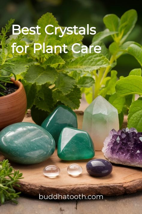 Best crystals for plant care arranged on a wooden surface with green plants in the background. Crystals For Plants, Electro Culture, Plants And Crystals, Power Of Crystals, Rosemary Plant, Tree Growth, Best Crystals, Attracting Beneficial Insects, Crystal Garden